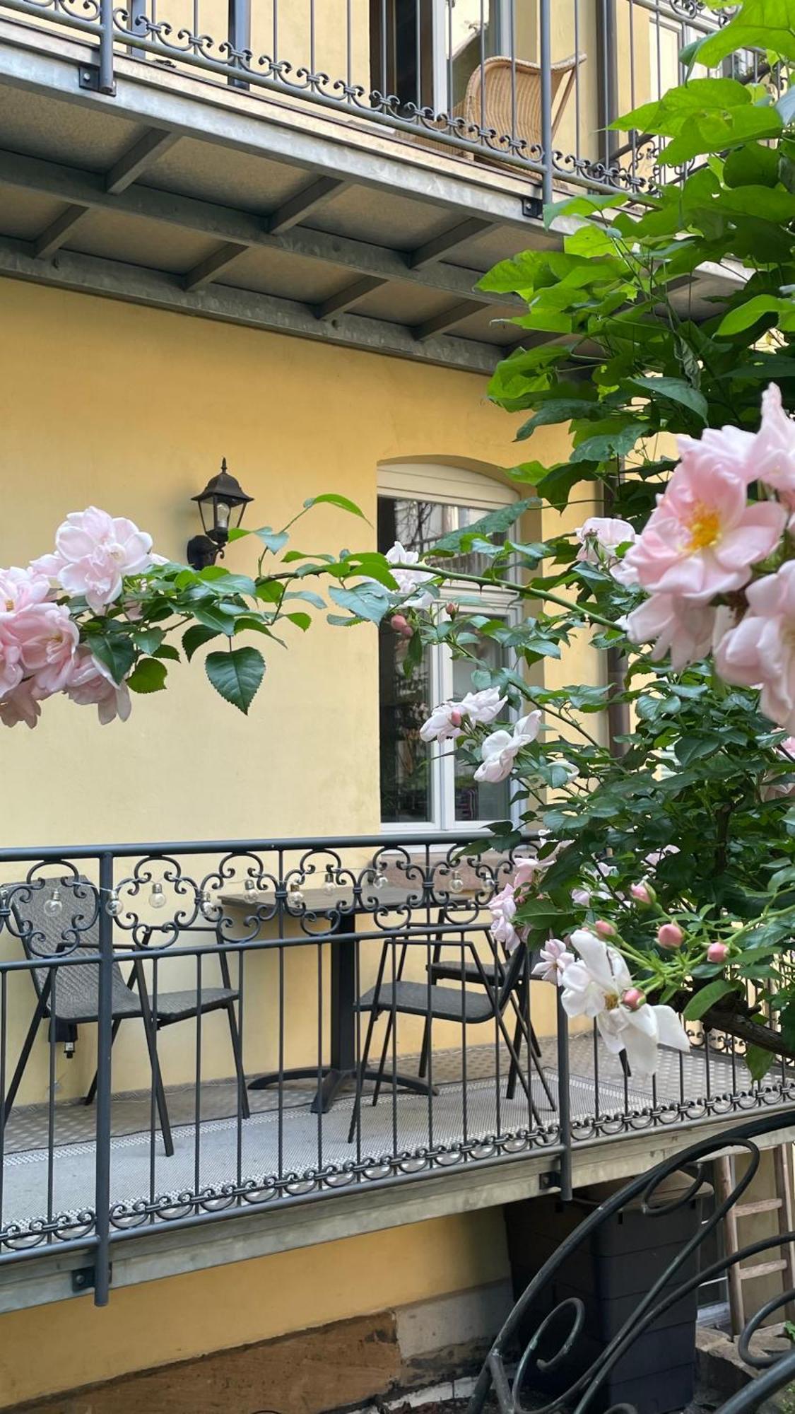 Cozy Rosy, Dein Feinzeit Bamberg